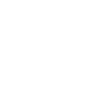 Rally logo